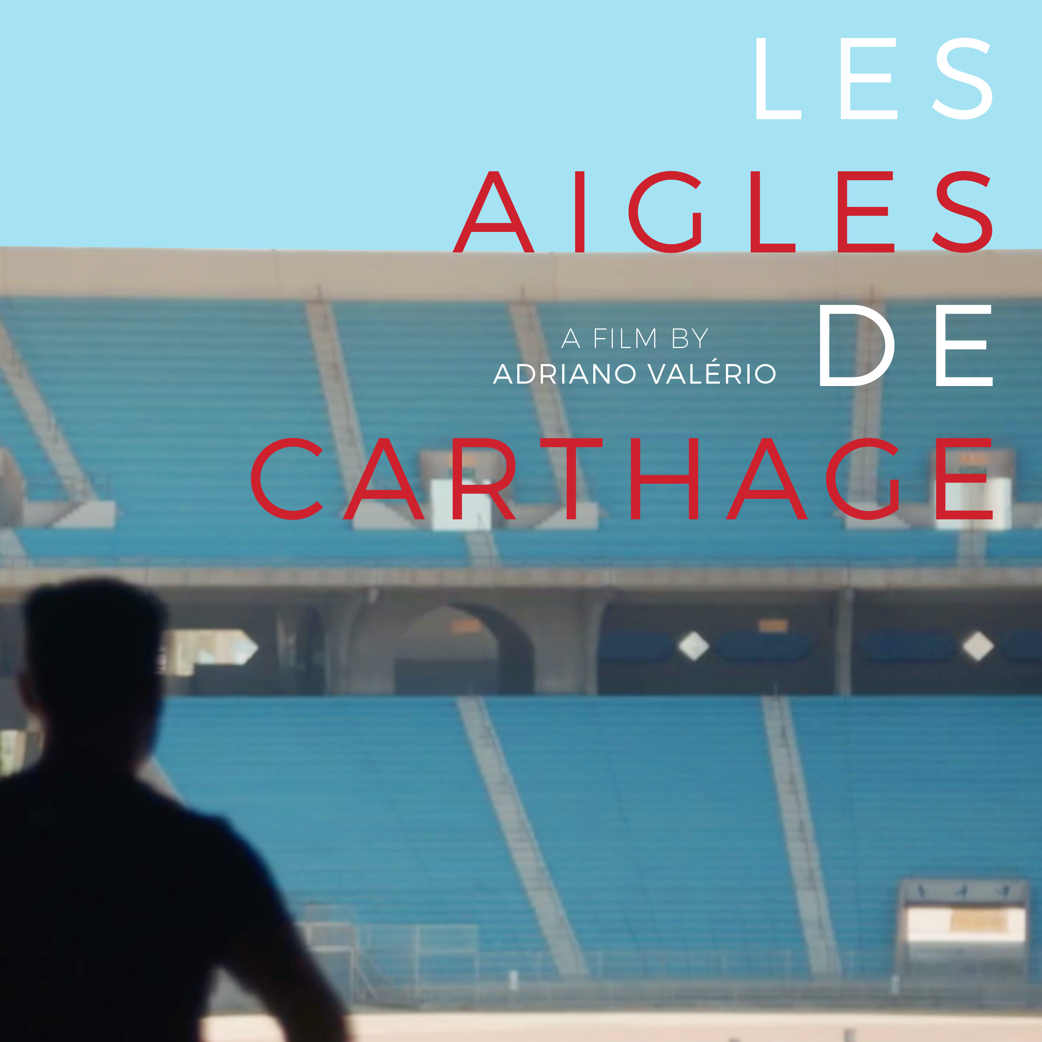 LES AIGLES DE CARTHAGE