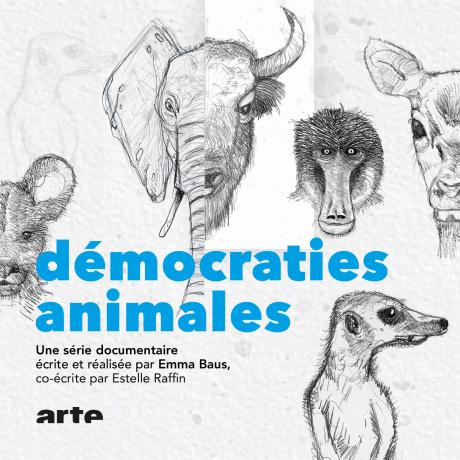 DÉMOCRATIES ANIMALES