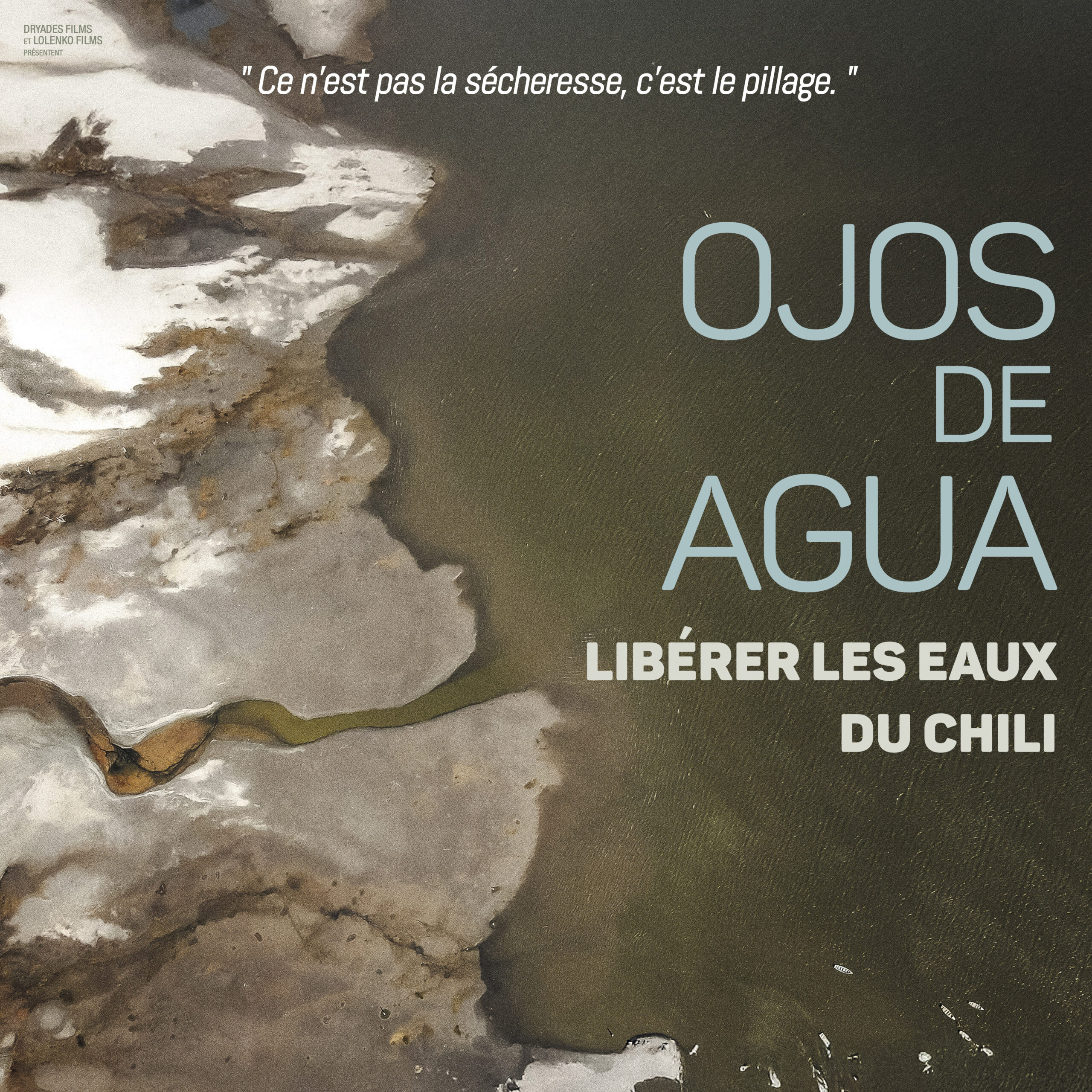 OJOS DE AGUA (LIBÉRER LES EAUX DU CHILI)